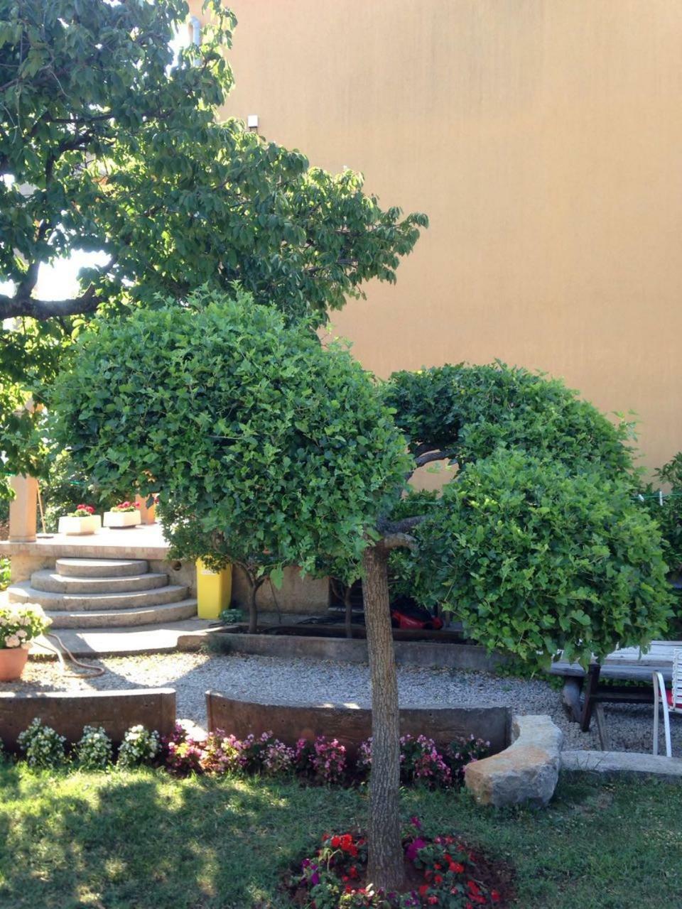 Spacious And Modern App With Big Terrace Malinska Bagian luar foto